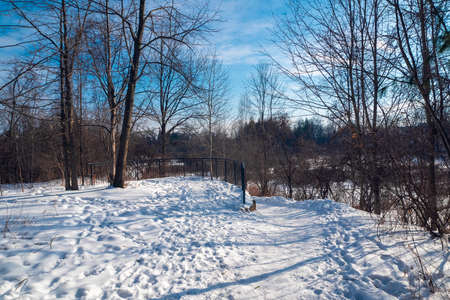 Winter road to the park and surroundings with traces of people on a fine dayの写真素材