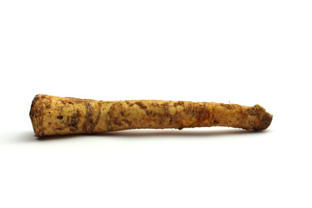 horseradish on weißem backgroundの写真素材