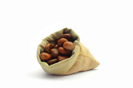 chestnuts in the bag on white backgroundの写真素材