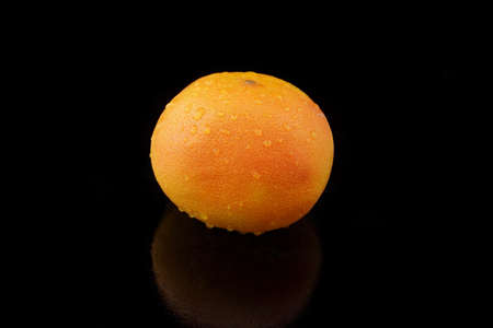a grapefruit with drops of water on black backgroundの写真素材