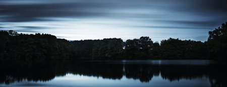 trees and water in the night