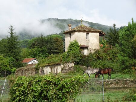 House in a typical Cevennes landscape with horses and mistの写真素材