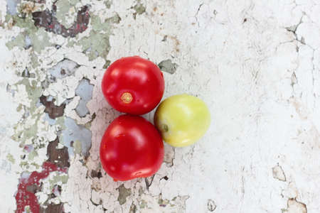 Fresh Tomatoの写真素材