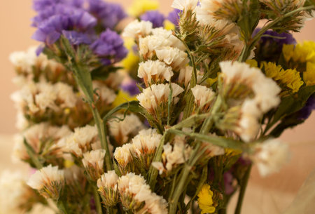 Bouquet of white and purple wildflowers