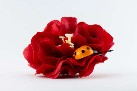 Soap flower, handmade, on a white backgroundの写真素材