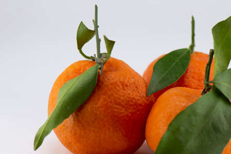 Clementine with green leaf isolated on white backgroundの写真素材