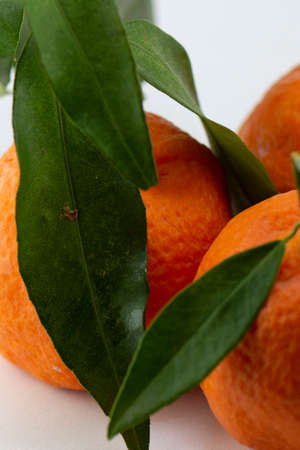 Clementine with green leaf isolated on white backgroundの写真素材
