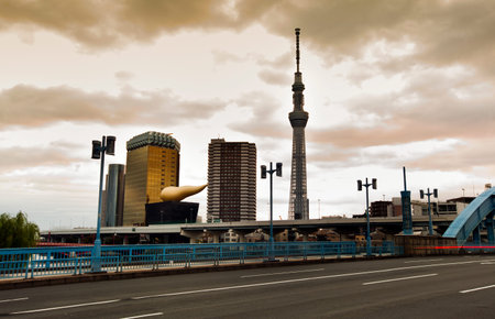 Tokyo, Japan cityscape with the Skytree.