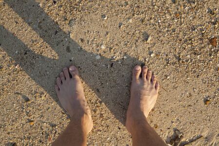 barefeet in sand on beach in summerの写真素材