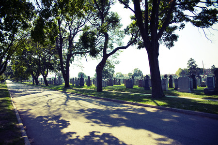 Botanic Gardensのeditorial素材