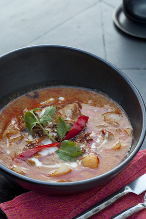 Thai red duck curry.の写真素材