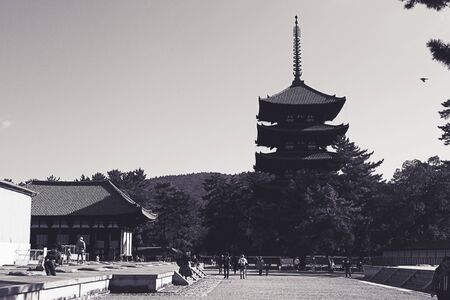 Kofukuji in Nara, Japanのeditorial素材