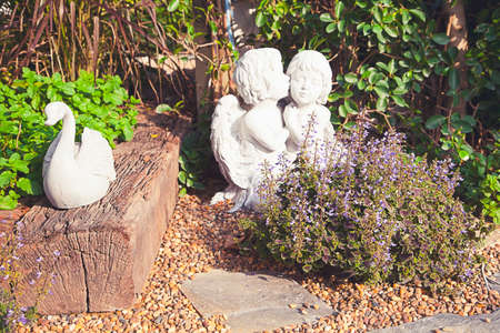 garden details,small plantの写真素材