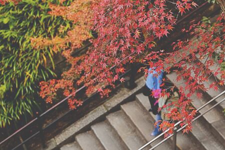 Kyomizu Temple and staircase in Kyoto, Japanの写真素材