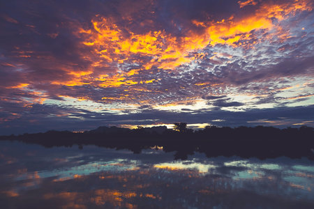 Morning Sky