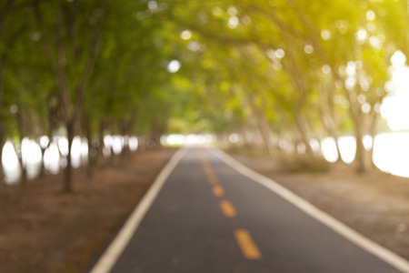 road cover with tree in the parkの写真素材