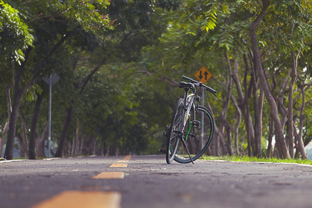 mountain bicycle standing in parkの写真素材