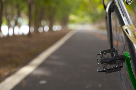mountain bicycle on the road in the green parkの写真素材