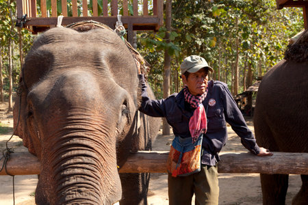 Tourists travelling on top of elephants in Luang Prabang province of Laos.のeditorial素材