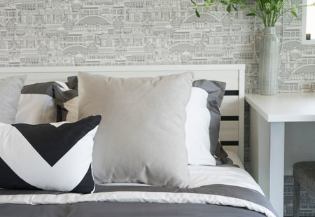 Modern style bedroom with pillows on bed