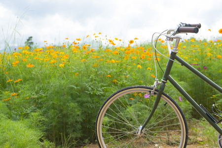 bicycle in the parkの写真素材