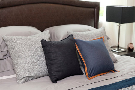 Modern classic style interior bedroom with pillows