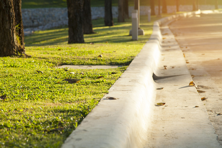 path for walking in a beautiful Park.の写真素材