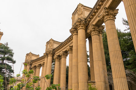 Beautiful view of Palace of fine arts at San Francisco recreation and parks, USA