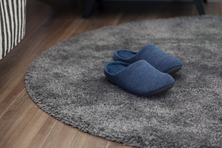 A pair of slippers on the carpet in home