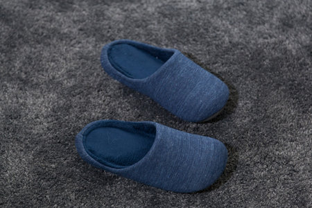 A pair of slippers on the carpet in the home