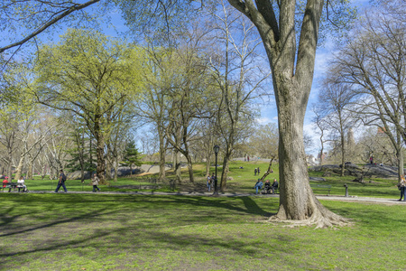 The People come to enjoy spring weather in Central Park in New York,USAのeditorial素材