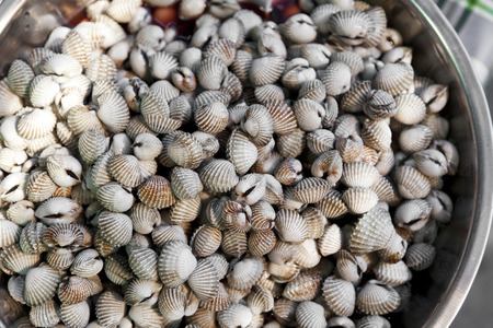 Seafood For Sale At Local Thai Market Streetの写真素材