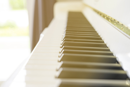 Side view of piano keys. Close-up of piano keys.の写真素材