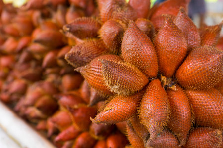 Salak Palm or waive or snake fruit for sale in the fruit marketの写真素材