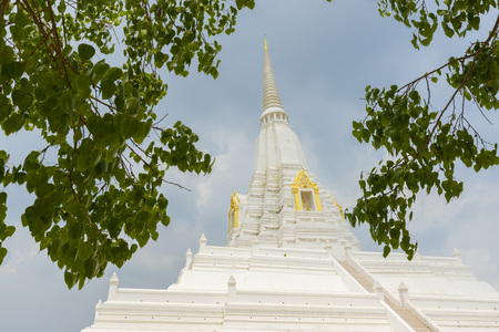 Beautiful chedi of Phukhao Thong in Ayutthaya, Thailand.の写真素材