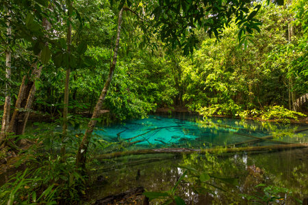 Emerald Pool (Sra Morakot) in Krabi province, Thailand. Beautiful nature scene of crystal clear blue...