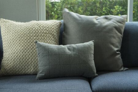 Modern and stylish living room, blue sofa and grey pillow with coffee table.の写真素材