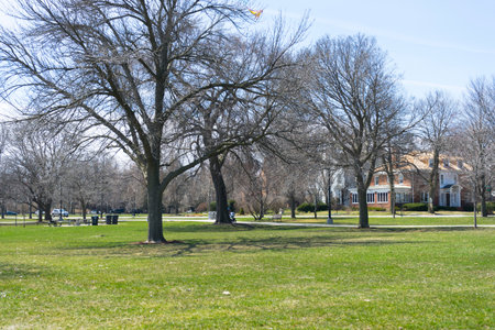 Chicago beautiful park by lake Michigan, spring landscape of green fieldの写真素材