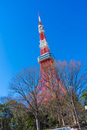 Tokyo tower in summer and a green tree with blue sky in Tokyo,Japan.のeditorial素材