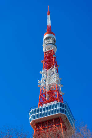 Tokyo tower in summer and a green tree with blue sky in Tokyo,Japan.のeditorial素材