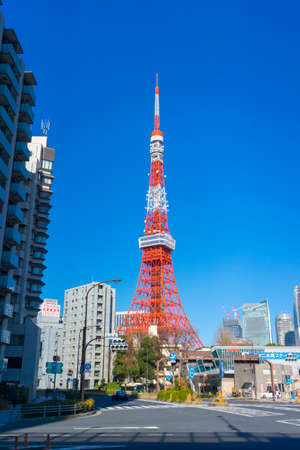 Tokyo tower in summer and a green tree with blue sky in Tokyo,Japan.のeditorial素材