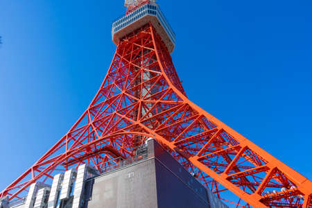 Tokyo tower in summer and a green tree with blue sky in Tokyo,Japan.のeditorial素材