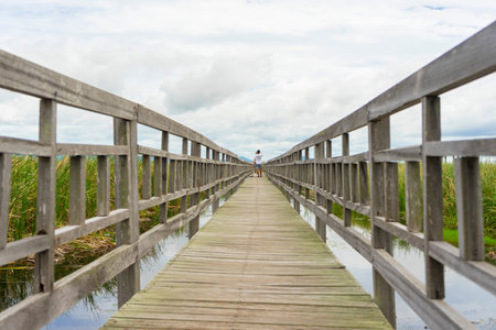 Beautiful view of Wooden Bridge on lotus lake at Khao Sam Roi Yod National Park, Thailand.