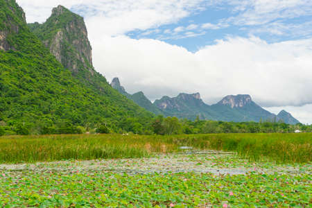 Beautiful view of lotus lake at Khao Sam Roi Yod National Park, Thailand.の写真素材