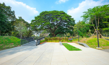 Benchakitti Forest Park, is new landmark public park of central Bangkok in Bangkok, Thailand.