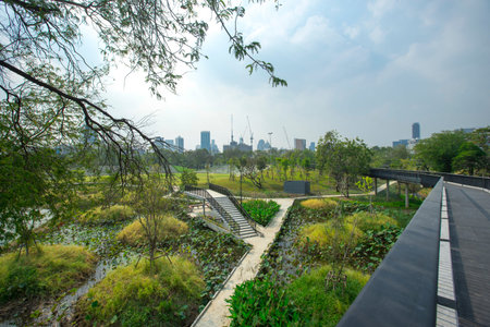 Benjakitti Forest Park, is new landmark public park of central Bangkok in Bangkok, Thailand.