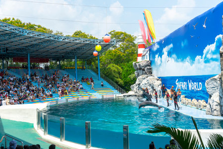 Bangkok, Thailand - Mar 6, 2022 : Children and family enjoy the dolphin show in Safari World Zoo in Bangkok, Thailand on Mar 6, 2022.のeditorial素材
