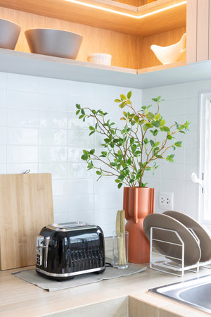 Modern kitchen interior design with toaster and a plant in a pot