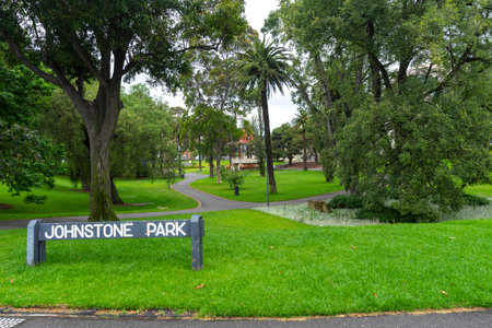 Lush green tree in Johnstone Park in Geelong, Australia.の写真素材