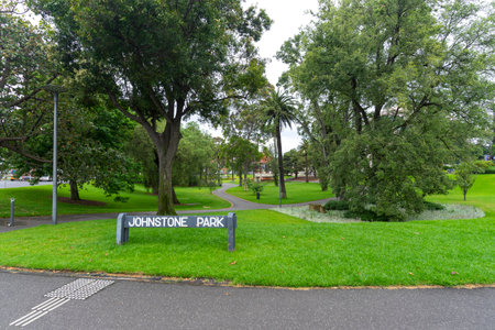 Lush green tree in Johnstone Park in Geelong, Australia.の写真素材